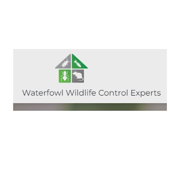 Waterfowl Wildlife Control Experts